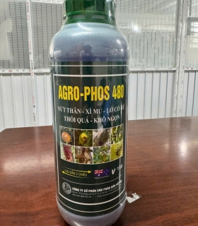 Phân bón lá hỗn hợp NPK AGRO-PHOS 480