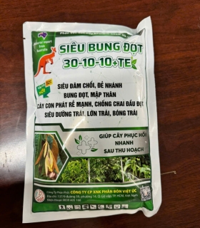 Phân bón hỗn hợp NPK BIO GREEN 30-10-10+TE