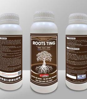 Phân Bón Lá Sinh Học ROOTS TING